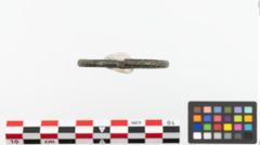 Foto von Bronzearmreif (NHMW-PRAE-023704)